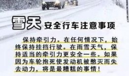 雪天行车爆料视频下载免费,揭秘冬季驾驶安全秘籍
